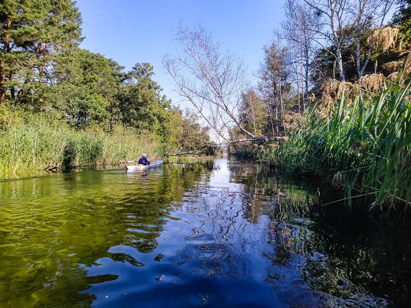 Kajaktour Starnberger See & Würm 05.09.2021